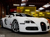 all white, bugatti