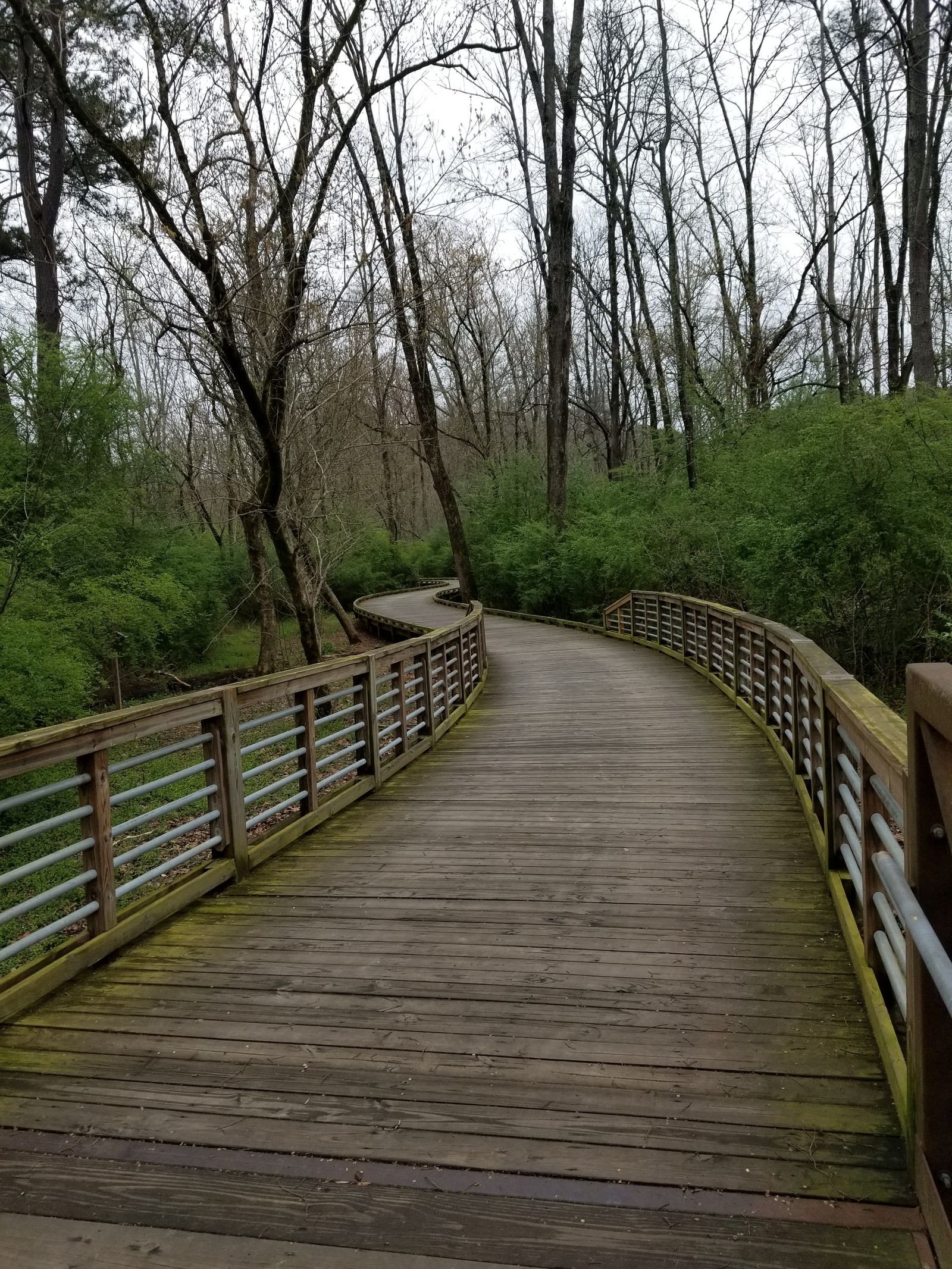 Lade promenade, wälder Hintergrund herunter