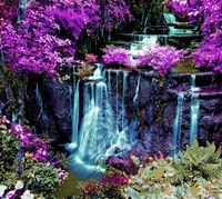 Enchanting Waterfalls Amidst Vibrant Purple Foliage