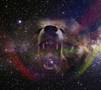 animal, bear, galaxy, star