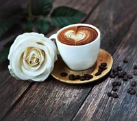 coffee, morning, new, nice, rose