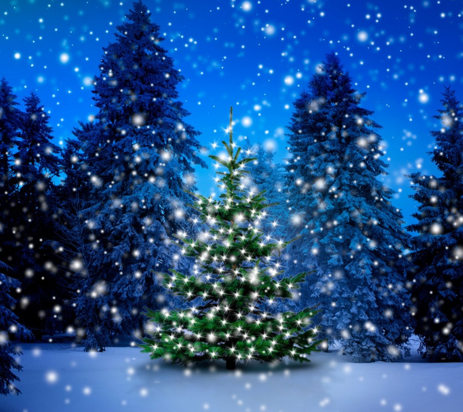 A christmas tree in the snow with snow falling down (holidays, nature, night, tree)