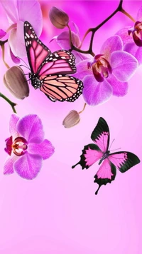 butterflies, flowers, orchid, pink