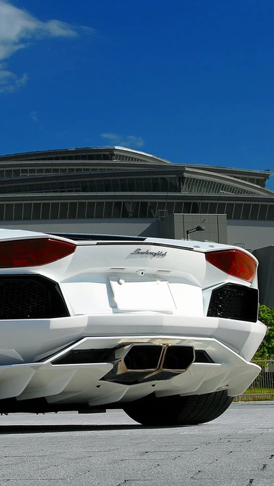 coche, exaust, lamborghini, blanco