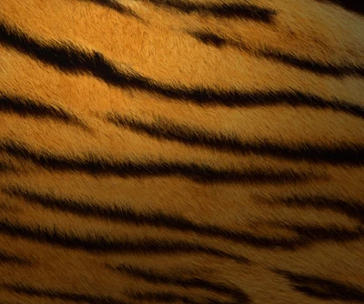 tigre, tiger print