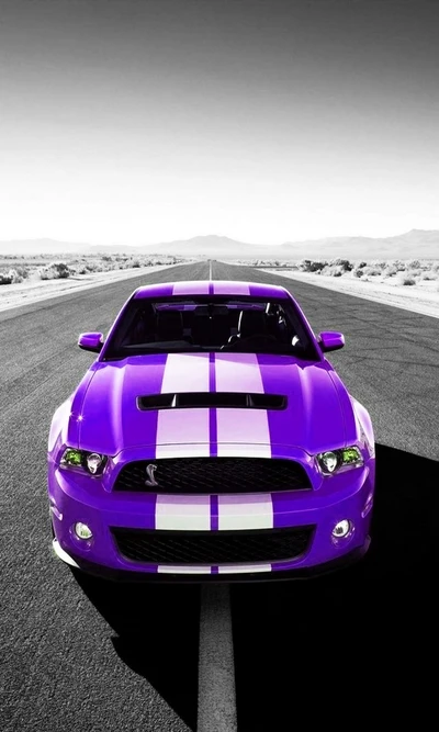 ford, mustang, shelby