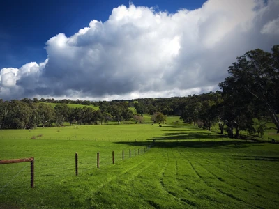 colina, casa, paisaje, naturaleza