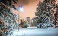 Winterwunderland: Schneebedeckte Stadtlandschaft mit gefrosteten Bäumen