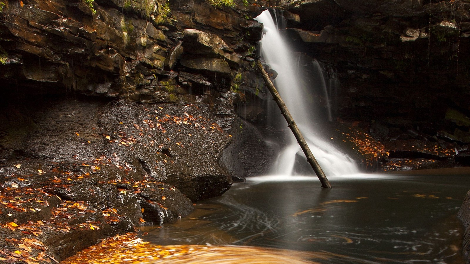 Cachoeira no meio de um desfiladeiro rochoso com uma árvore caída (cachoeira, corpo de água, água, natureza, recursos hídricos)