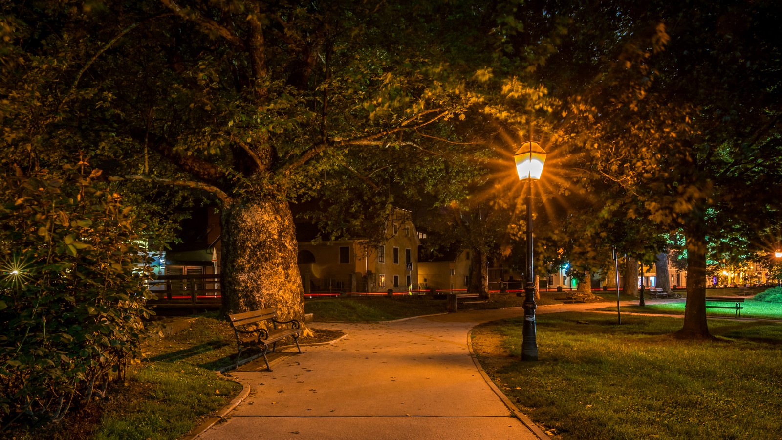 Vista aérea de un parque por la noche con un banco y una farola (noche, árbol, farola, ligero, iluminación)