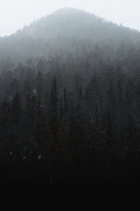 mist, winter, black, fog, drizzle wallpaper