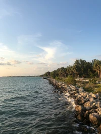 Coastal Serenity: A Tranquil Waterway and Lush Palm Trees