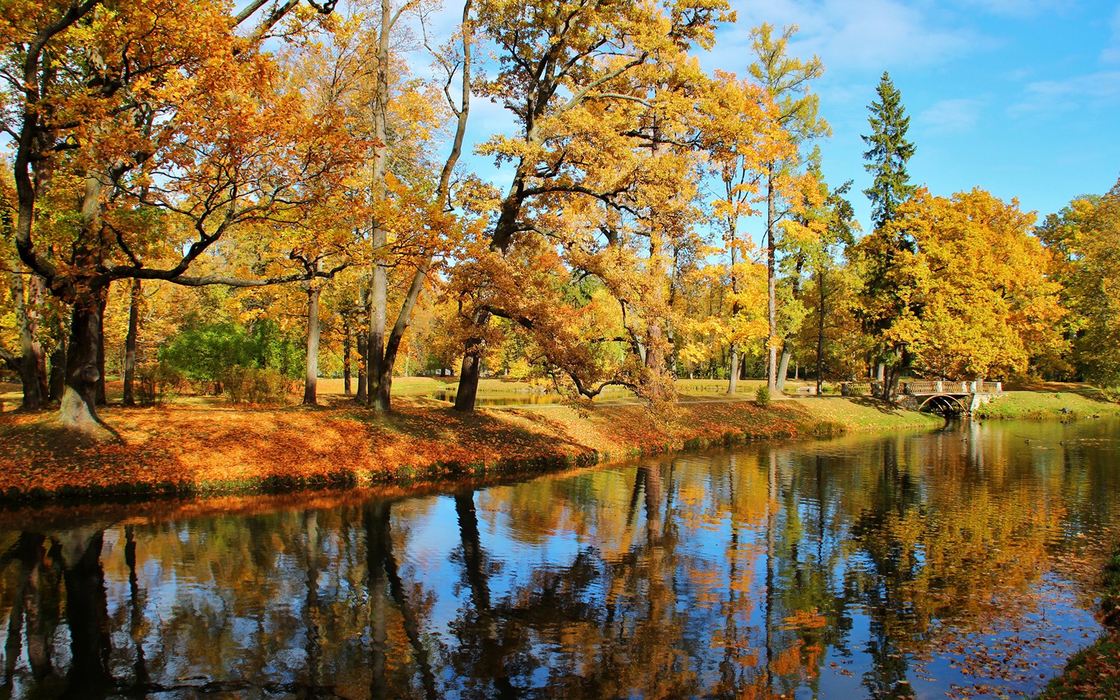 Eine sicht auf einen fluss mit bäumen und einer brücke im hintergrund (baum, reflexion, natur, herbst, blatt)