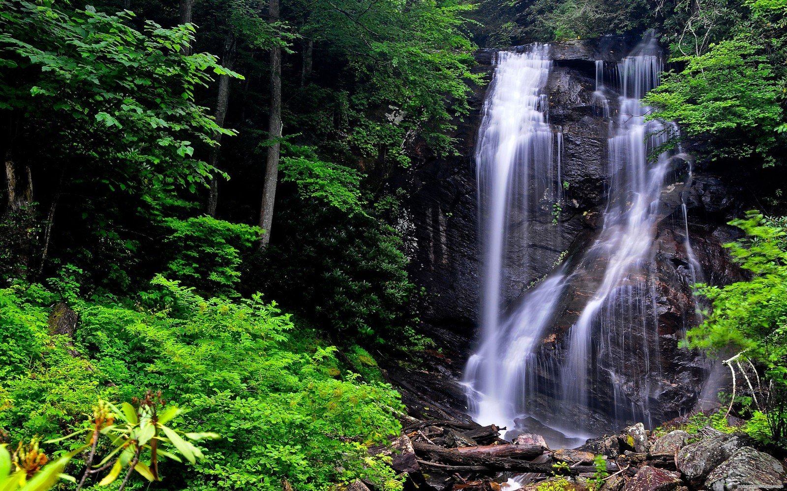 Un gros plan d'une cascade dans une forêt avec beaucoup d'arbres (la cascade, cours deau, ressources en eau, plan deau, végétation)