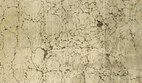 Cracked Asphalt Texture for Surface Mapping