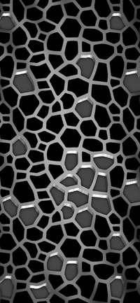 Abstract Black and White Mesh Design with Organic Shapes