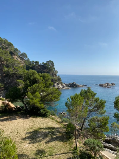 la côte, végétation, paysage naturel, banque, rivage