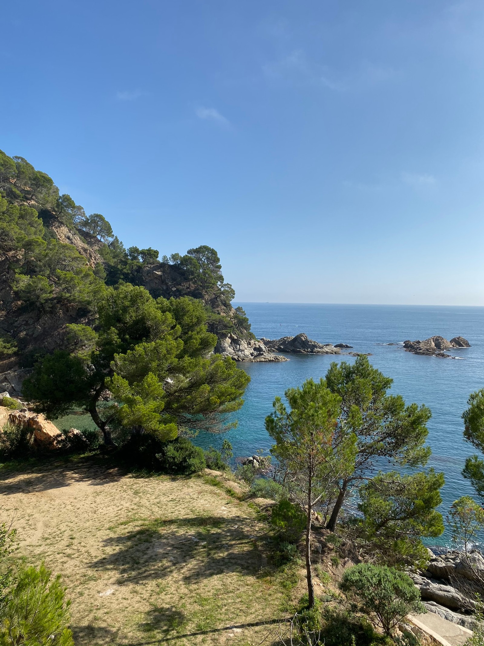 Há uma vista de uma praia e um corpo de água (costa, vegetação, paisagem natural, banco, lago)