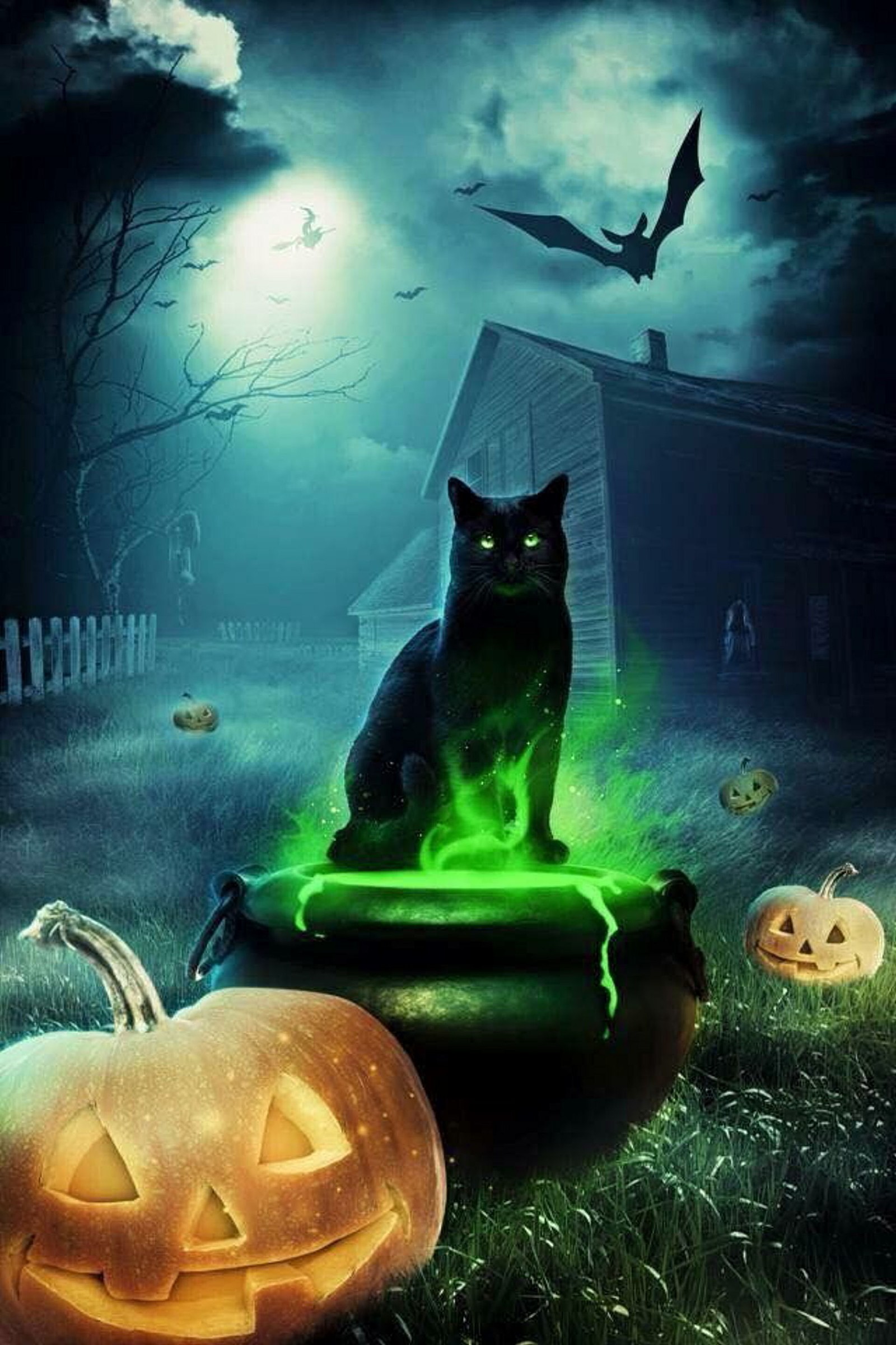 Un chat d'halloween assis sur un chaudron avec des yeux brillants et une citrouille (chat, halloween, favoris dhalloween, effrayant, noir)