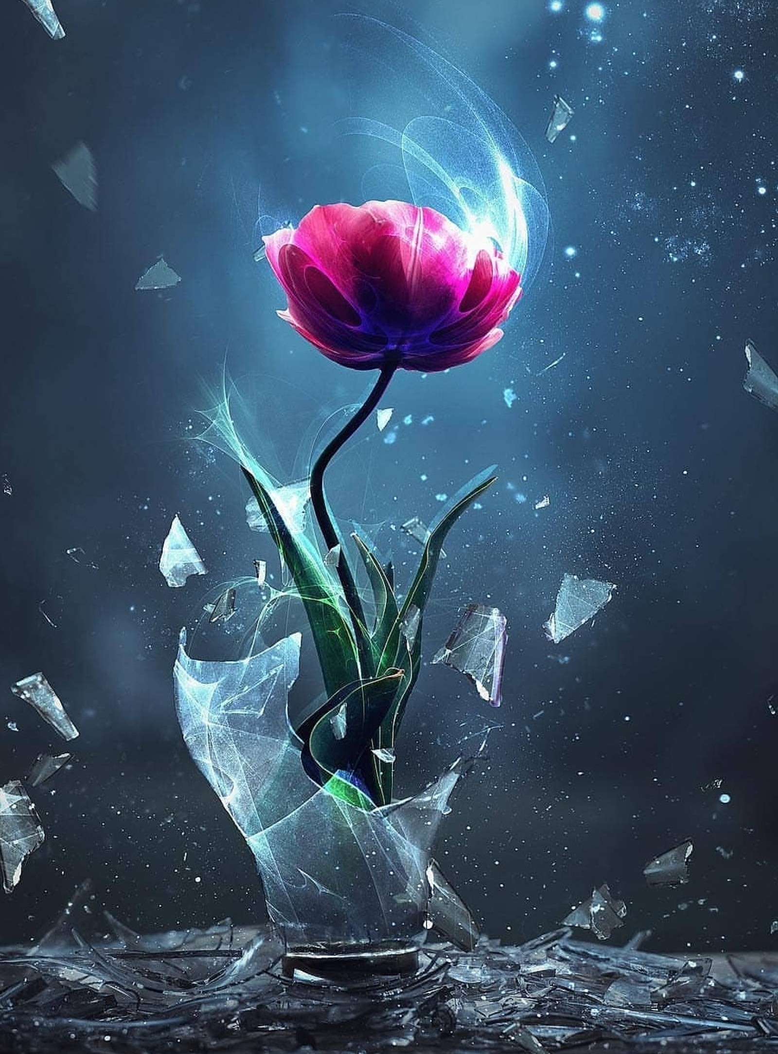 There is a flower in a vase with broken glass on the ground (aquarium, blue, colour, earth, gold)