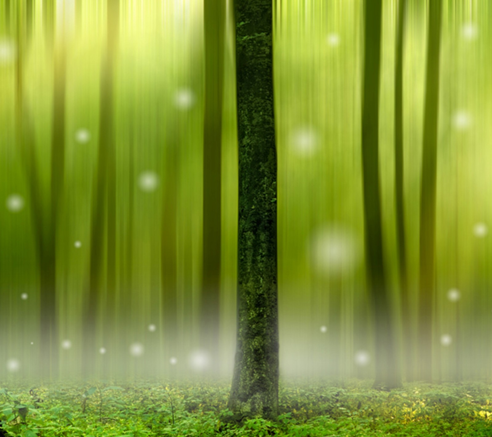 There is a green forest with a bench and a tree (elf, forest, green, nature)