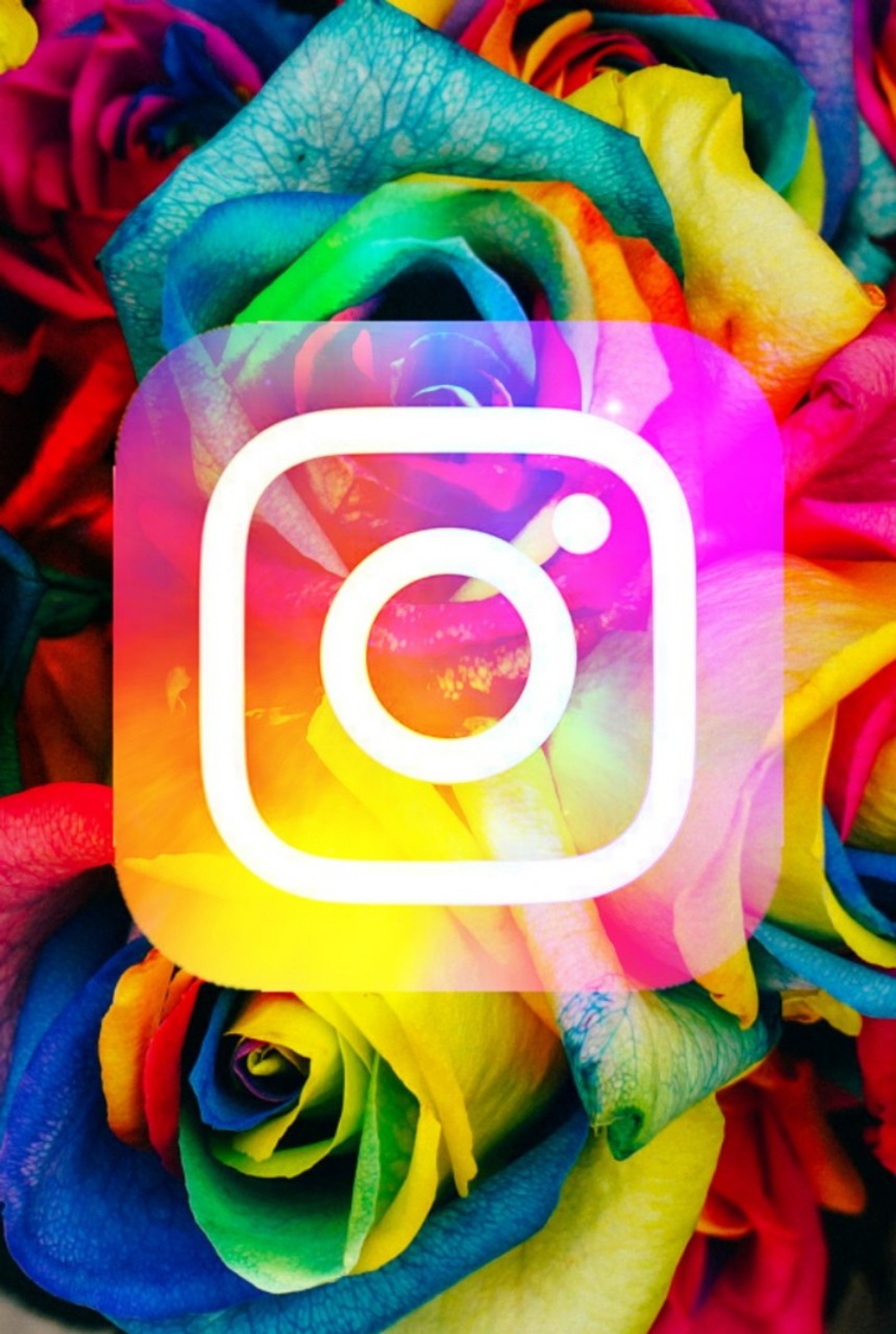 Un primer plano de un ramo de rosas coloridas con un fondo blanco de instagram (colores, muerto, niña, instagram, haz que cada segundo cuente)