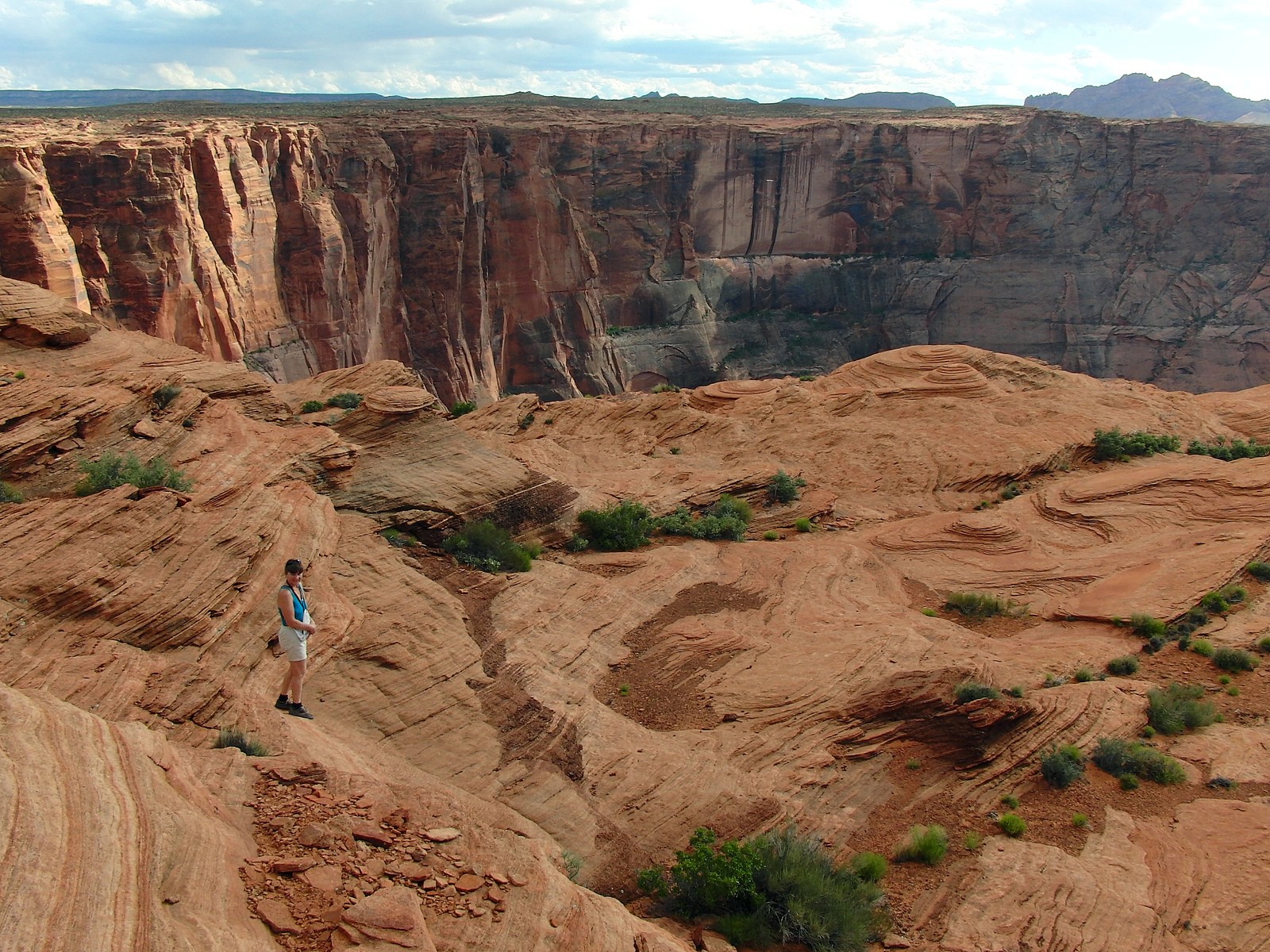 Girafas em pé em um penhasco com vista para um cânion e um vale (badlands, afloramento, formação, escarpa, cânion)