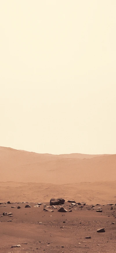 Martian Landscape: Perseverance Rover's View of Brown Ecoregion and Cloudy Skies