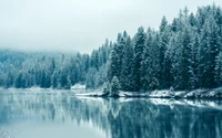 Paisagem de inverno serena com árvores cobertas de neve e lago refletivo