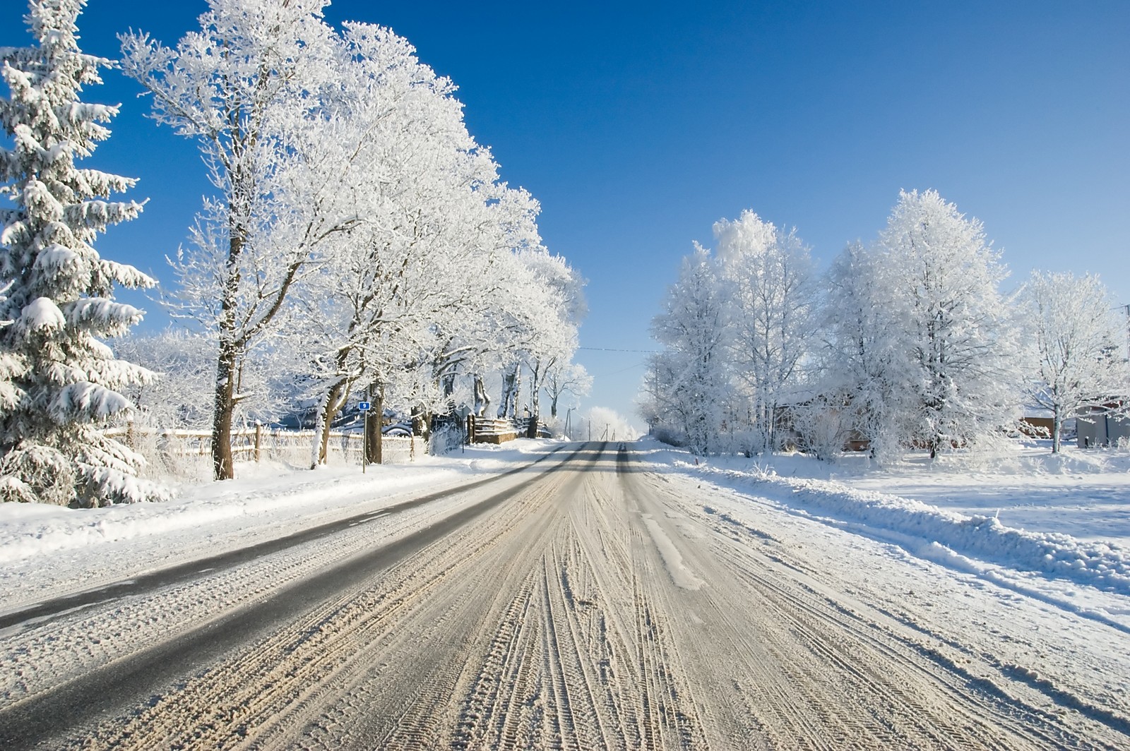 Une route floue dans un paysage neigeux avec des arbres et de la neige (hiver, neige, arbre, gel, givre)