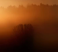 Bernstein Sonnenaufgang über einer nebligen Landschaft