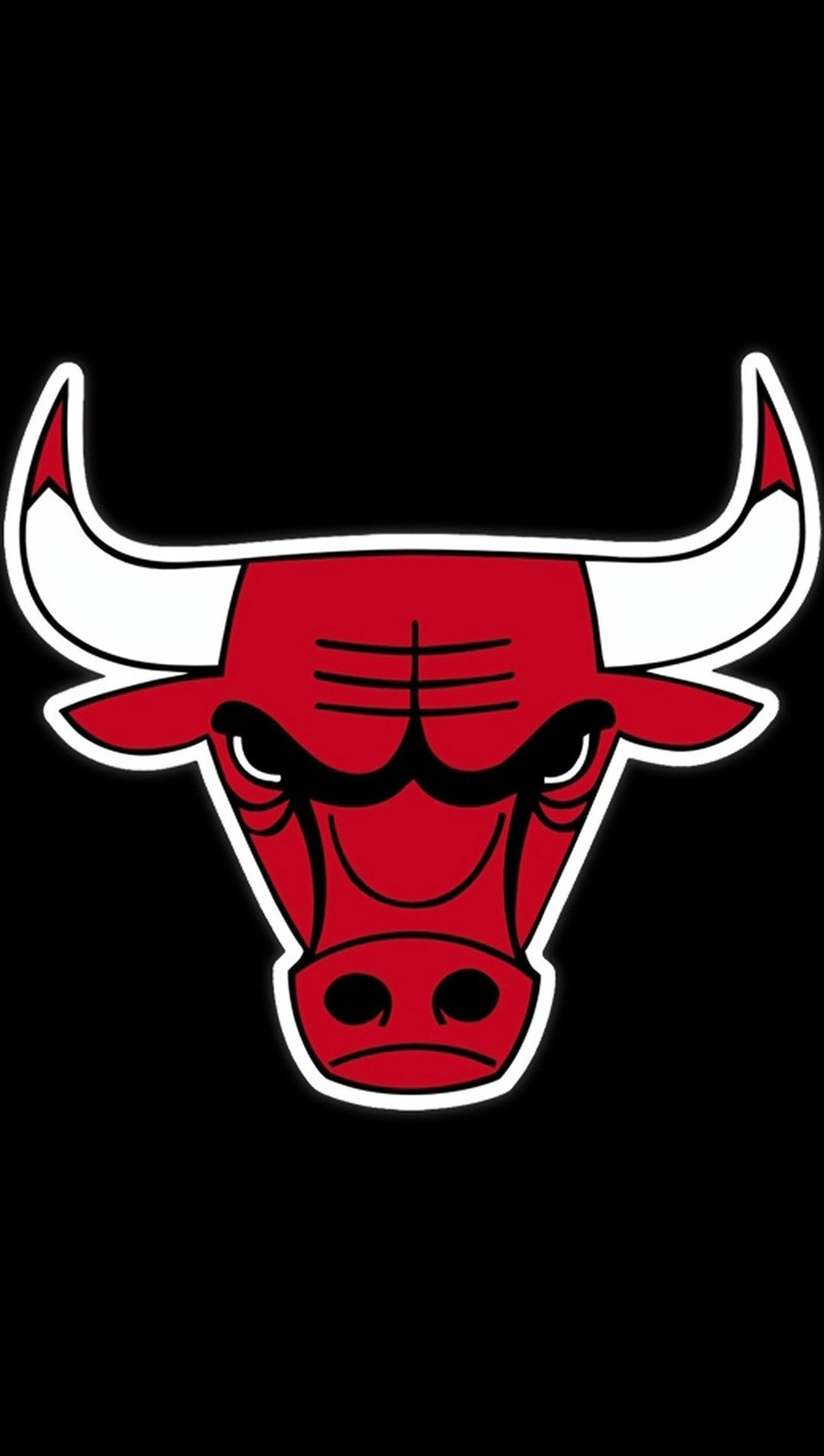 Логотип chicago bulls на черном фоне (sdf)