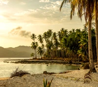 beach, tropical