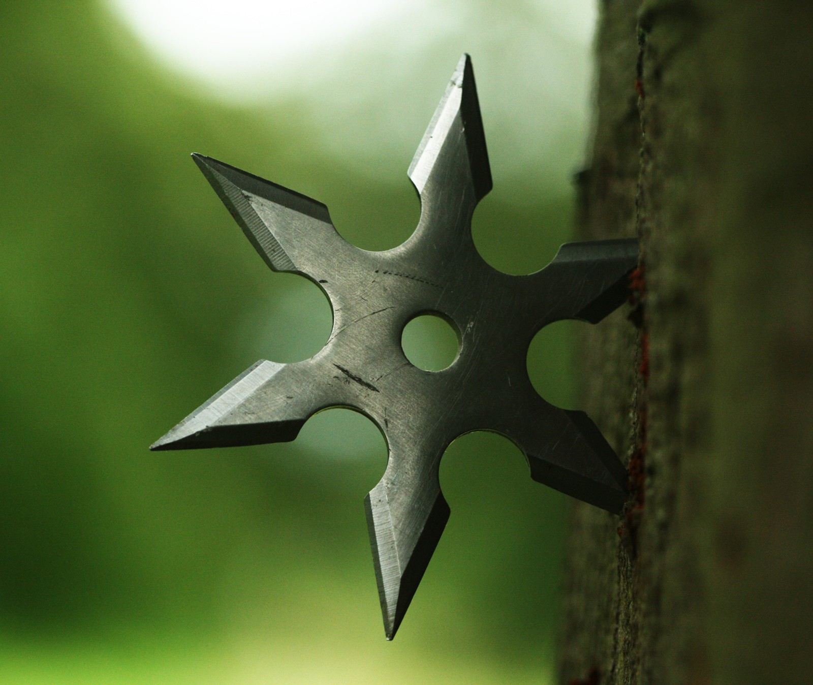 A close up of a black star shaped object on a tree (dart, japan, martial, night, ninja)