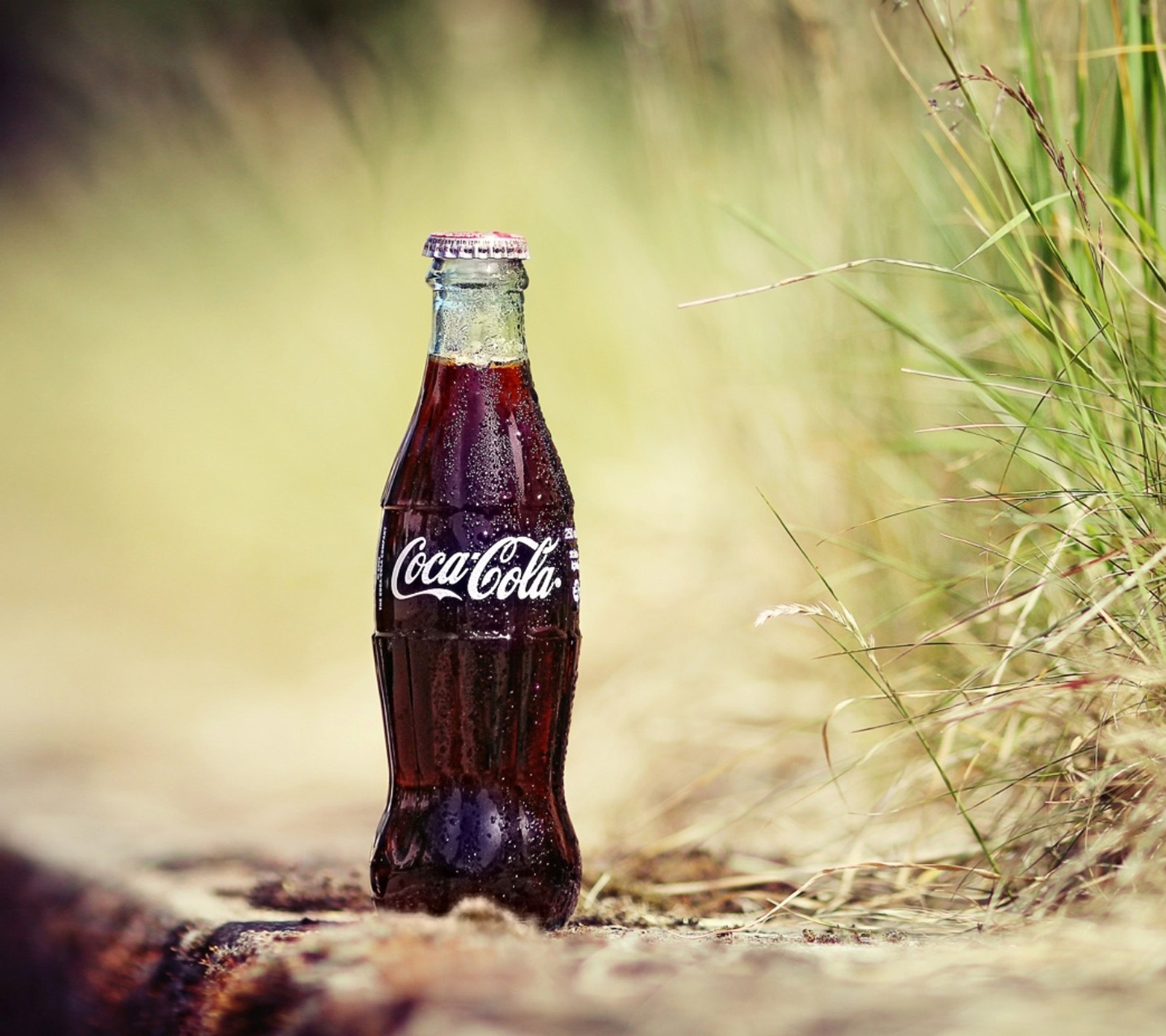 Uma garrafa de coca-cola arafed sentada no chão na grama (garrafa, coca cola, coca, bebida, soda)