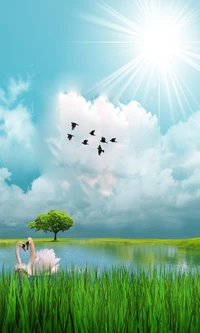 oiseau, oiseaux, nuage, herbe, nature