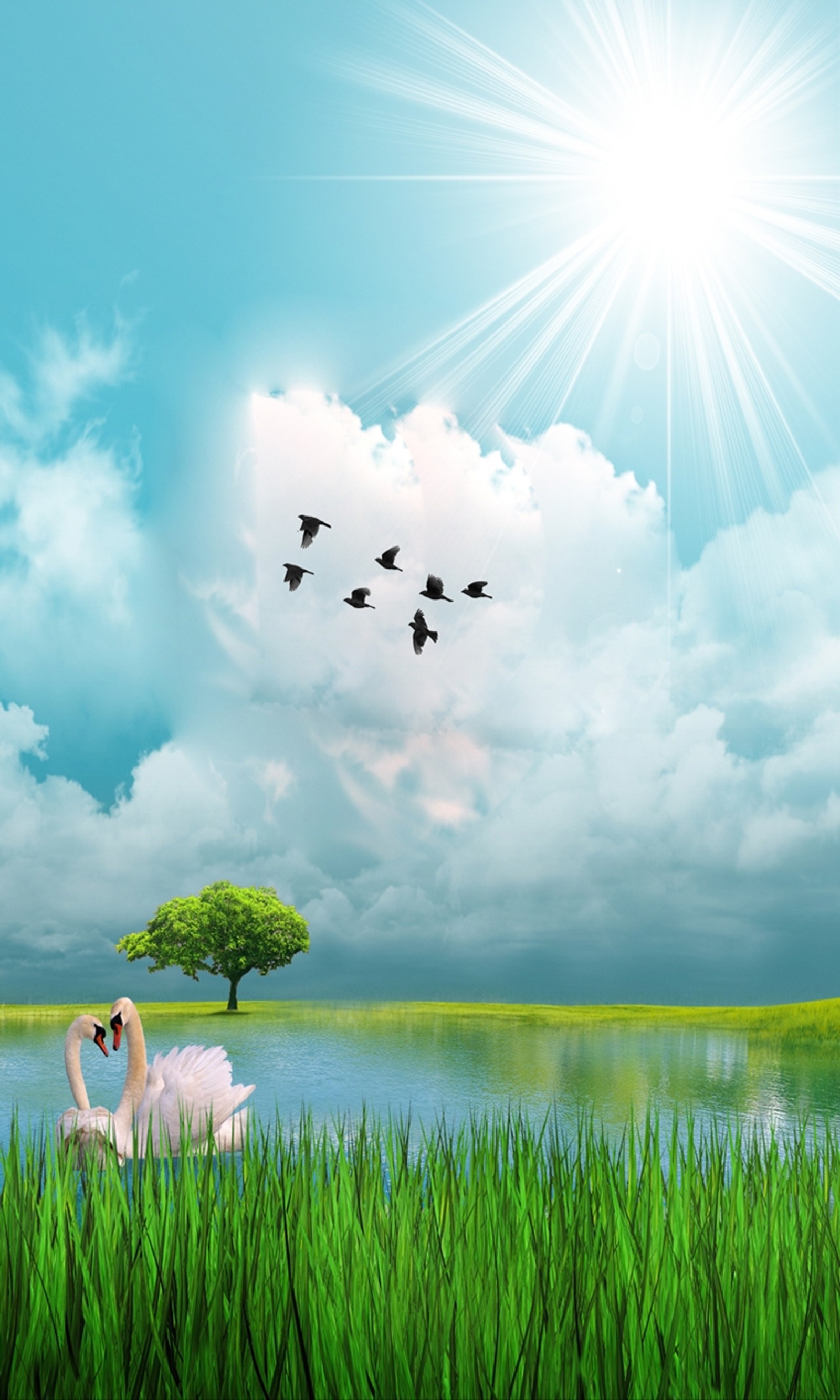 There are two swans in the grass near a lake and a tree (bird, birds, cloud, grass, nature)