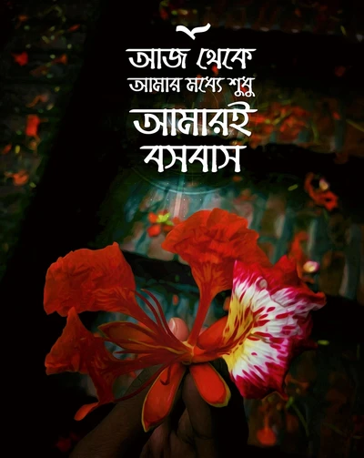 Emotional Bangla Quote on Love and Heartbreak with a Flower