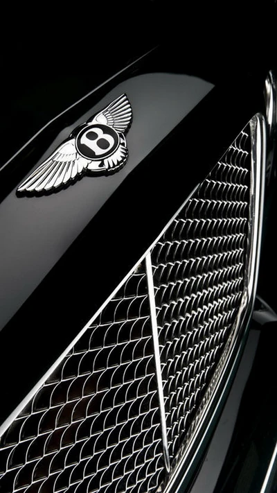 bentley, grill