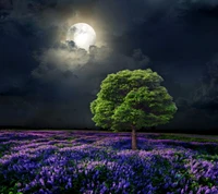 Campo iluminado por la luna de flores moradas bajo un árbol majestuoso