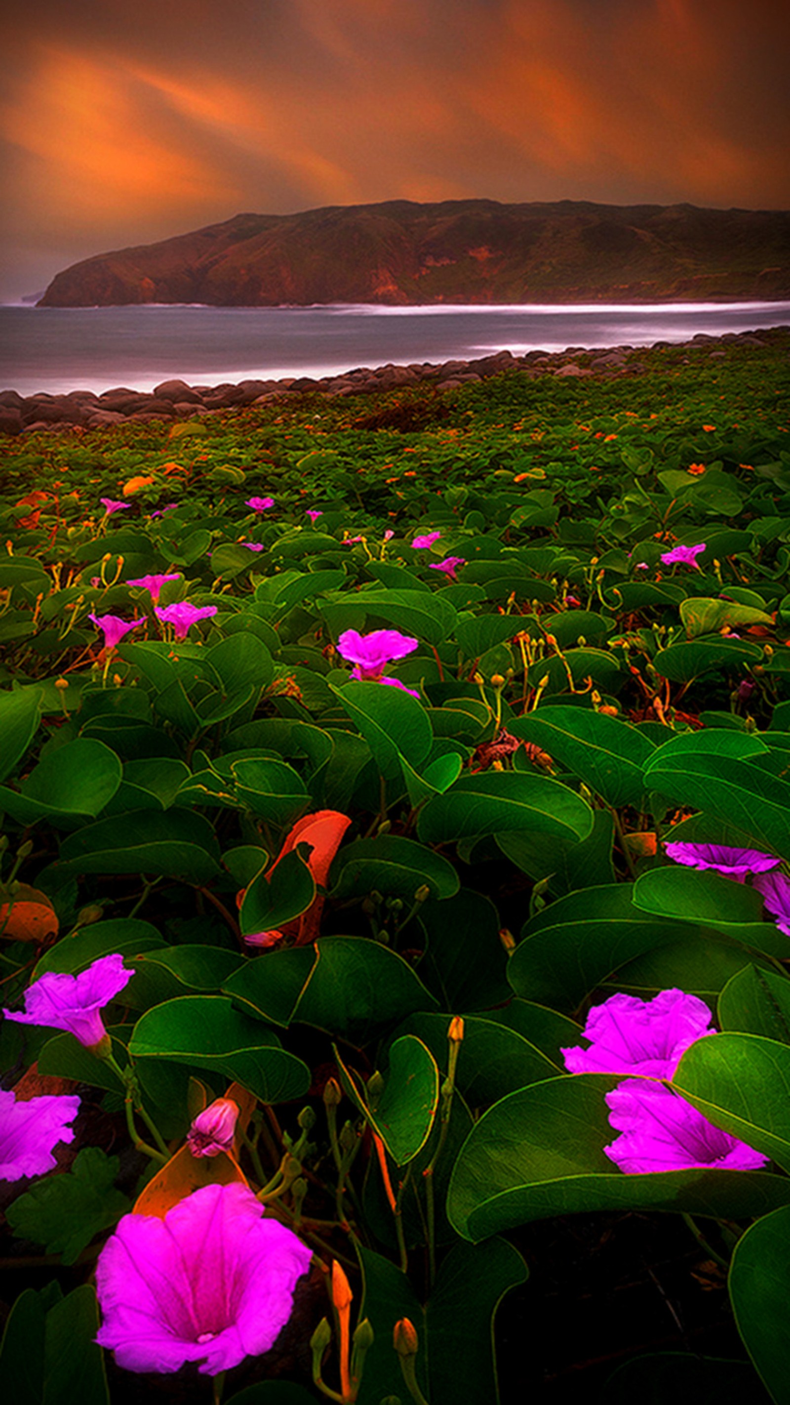 Des fleurs violettes dans un champ avec vue sur l'océan (fleurs, majestueux, violet)