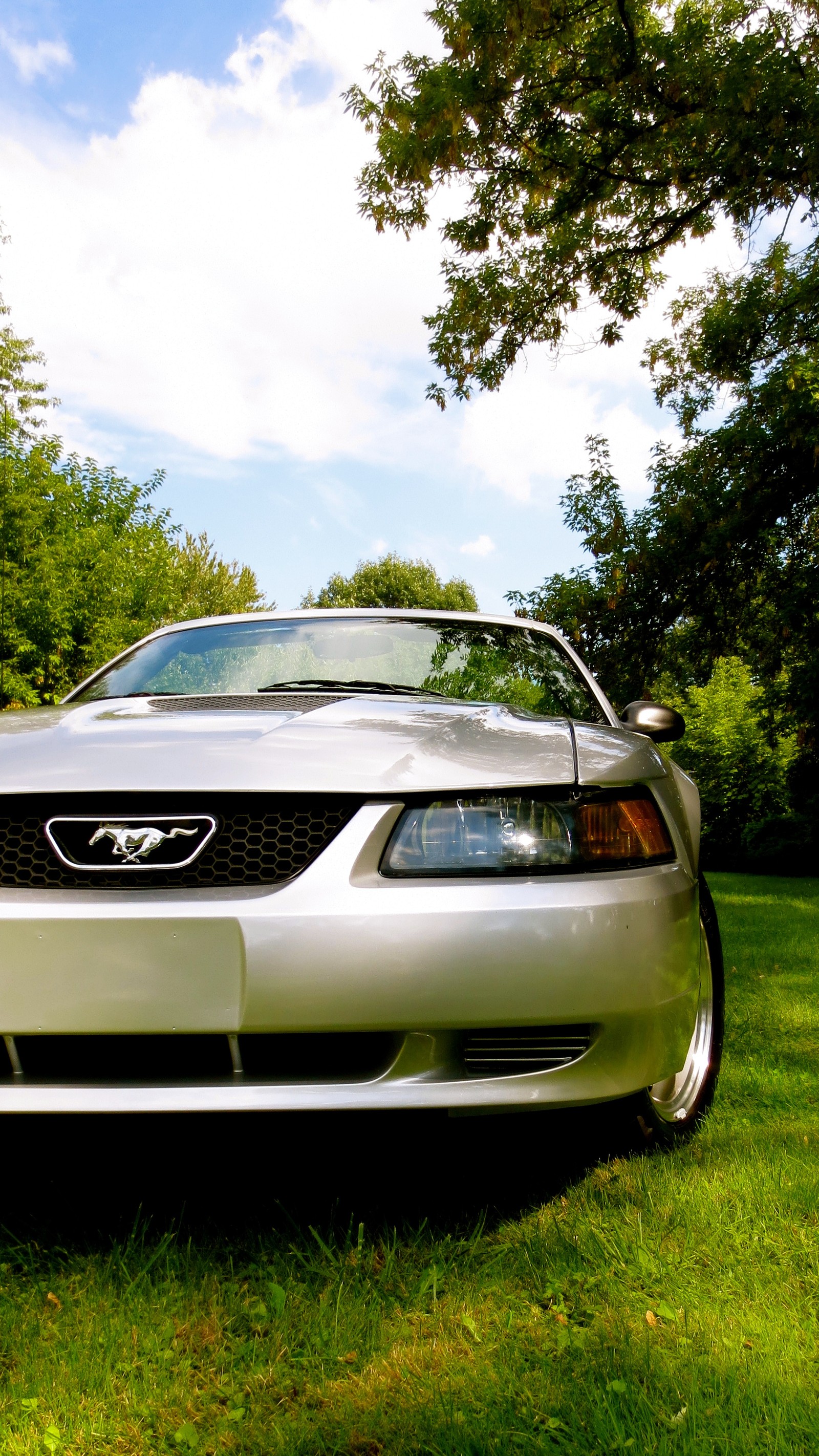 Hay un coche plateado estacionado en la hierba del parque (coche, coches, mustang)