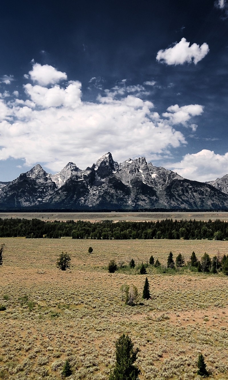 Лошадь, стоящая в траве перед горами (пейзаж, горы, природа, тетоны, tetons)