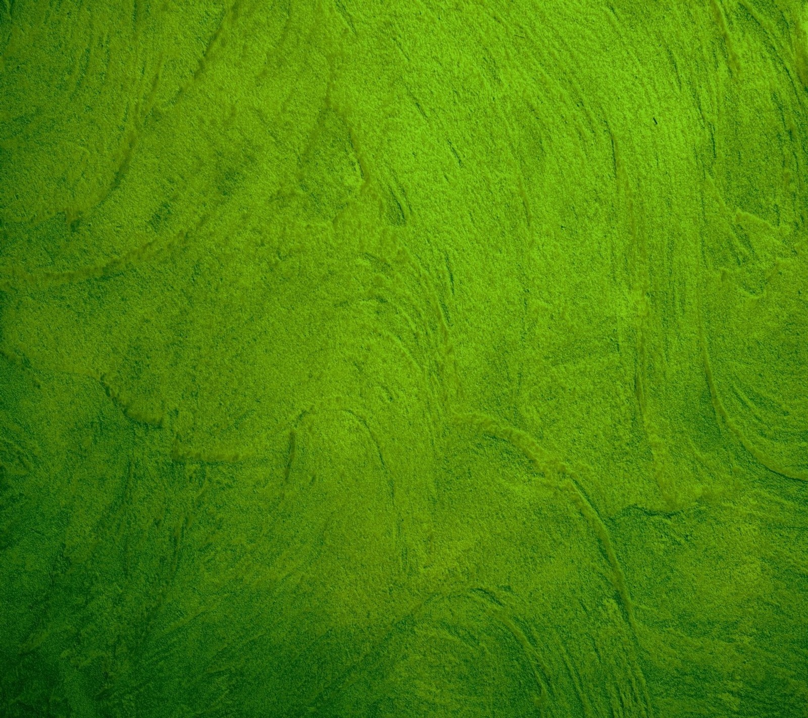 A close up of a green wall with a small white bird (abej, beograd, green)