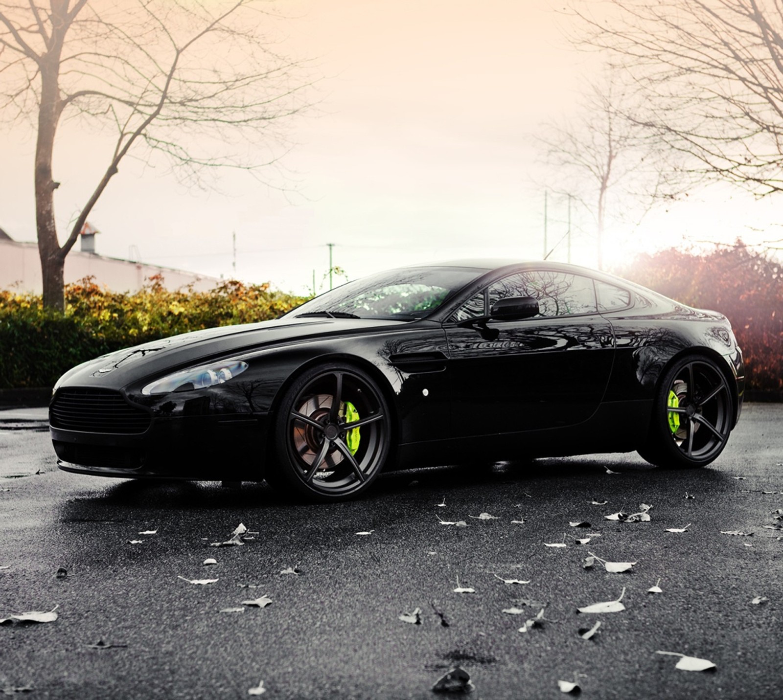 Carro esportivo árabe preto estacionado em um estacionamento com folhas no chão (aston martin, sr, vantagem)