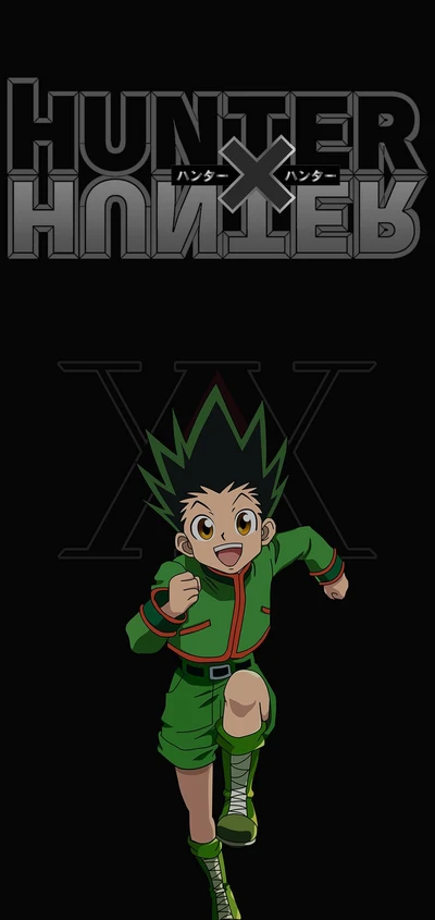 chasseur, hunterx, hunter x hunter, gon, parti