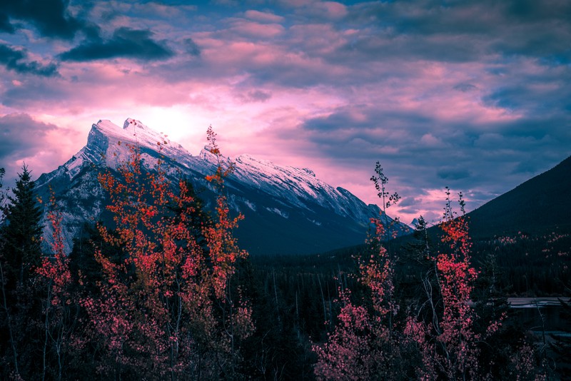 Вид на гору с несколькими деревьями и небом. (гора рундл, mount rundle, канада, золотой час, облака)