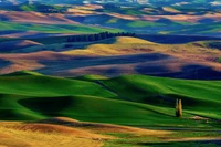 Collines verdoyantes sous un ciel vaste