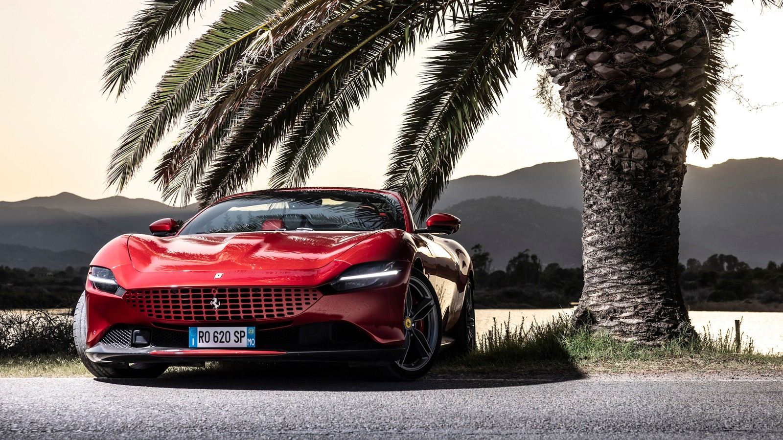 Un coche deportivo ferrari rojo estacionado junto a una palmera (ferrari roma spider, 2023, 5k, 8k, coches)