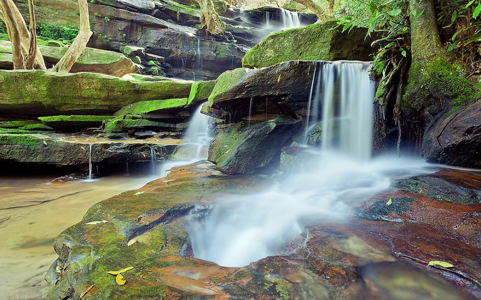 A close up of a waterfall in a forest with rocks and trees (waterfall, watercourse, body of water, water resources, nature)